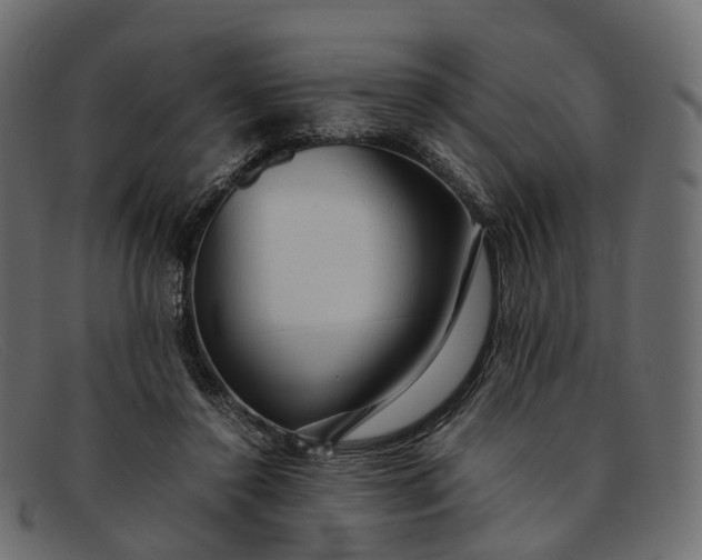 X0000091900356200709191242