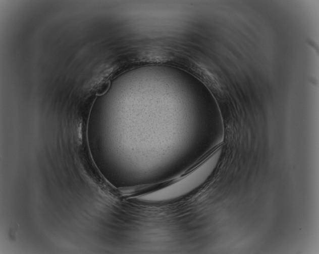 X0000091900358200709191242