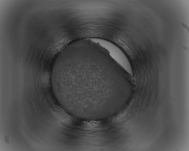 X0000091900359200709191242