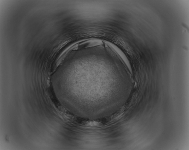 X0000091900360200709191242