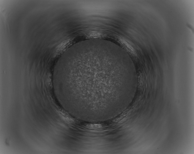 X0000091900361200709191242