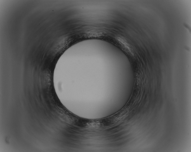 X0000091900362200709191242