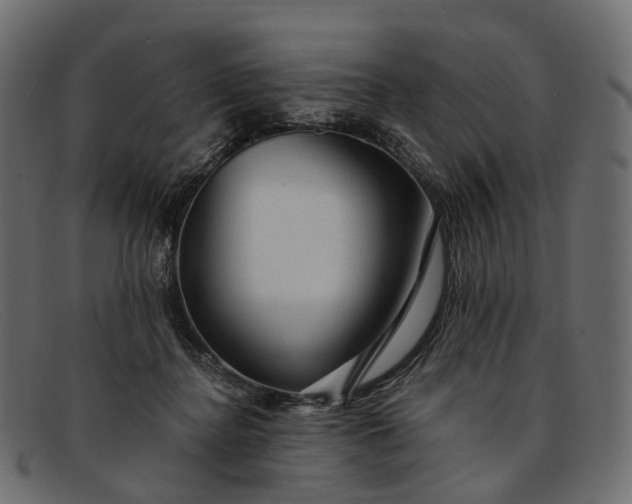 X0000091900364200709191242