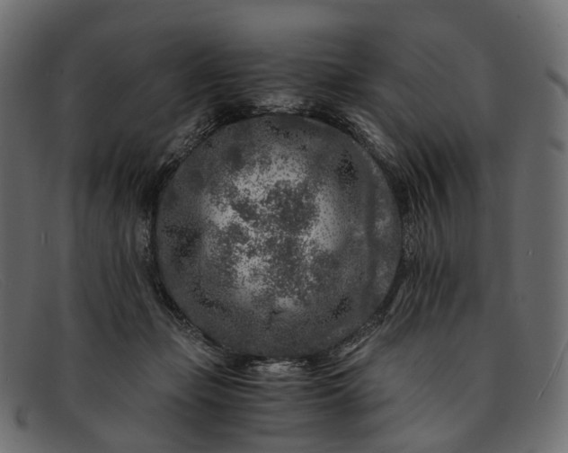 X0000091900365200709191242