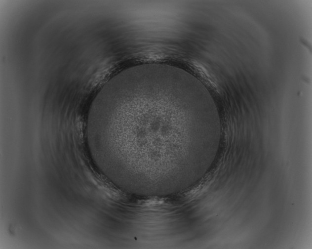 X0000091900366200709191242