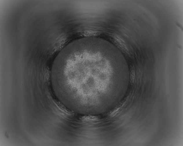 X0000091900367200709191242