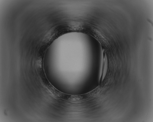 X0000091900368200709191242