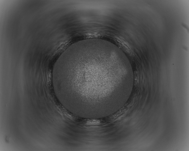 X0000091900369200709191242