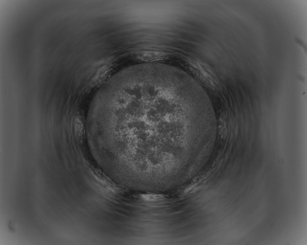 X0000091900371200709191242