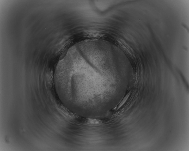 X0000091900376200709191242