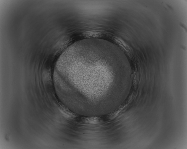 X0000091900377200709191242