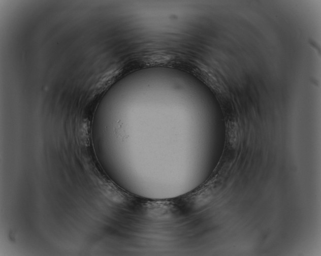 X0000091900378200709191242