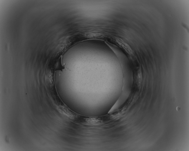 X0000091900380200709191242