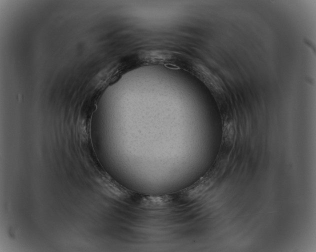 X0000091900381200709191242