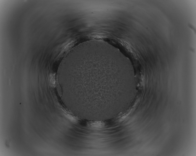 X0000091900383200709191242