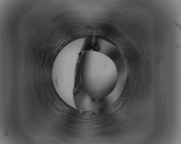 X0000091900384200709191242