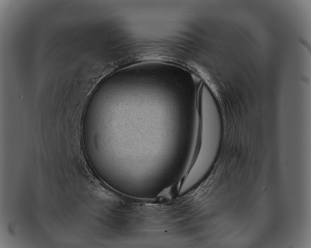 X0000091900385200709191241