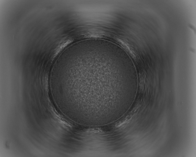 X0000091900386200709191241