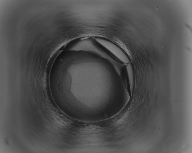 X0000091900387200709191241