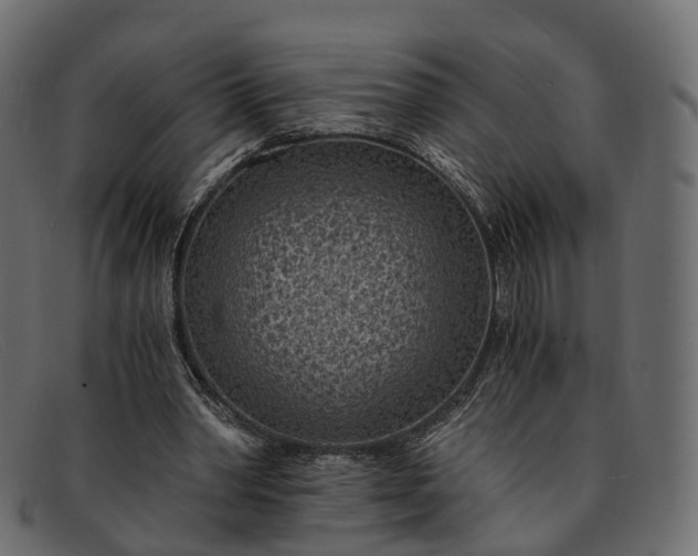 X0000091900390200709191241