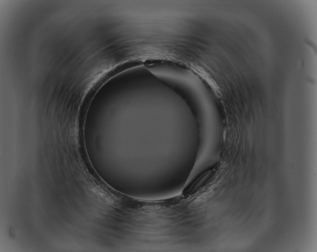 X0000091900391200709191241