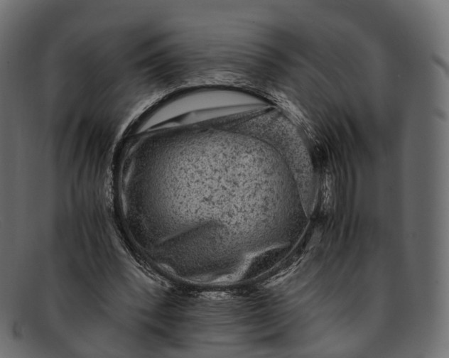 X0000091900392200709191241