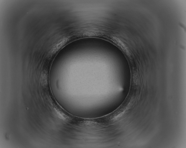 X0000091900393200709191241