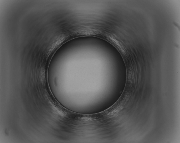 X0000091900394200709191241