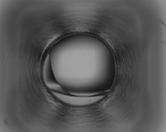 X0000091900395200709191241