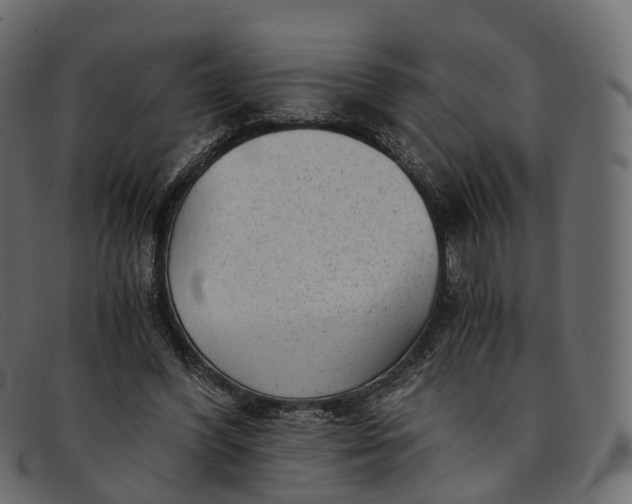 X0000091900396200709191241