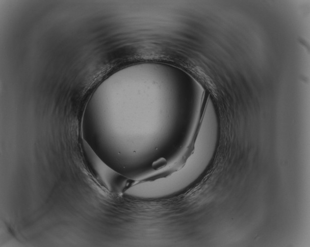 X0000091900397200709191241