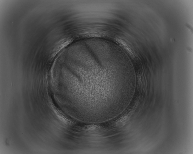 X0000091900398200709191241