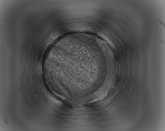 X0000091900399200709191241