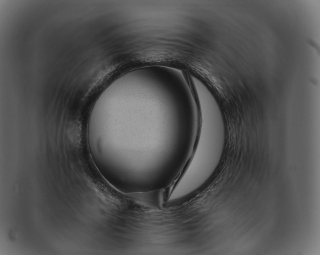 X0000091900400200709191241