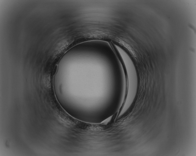 X0000091900403200709191241