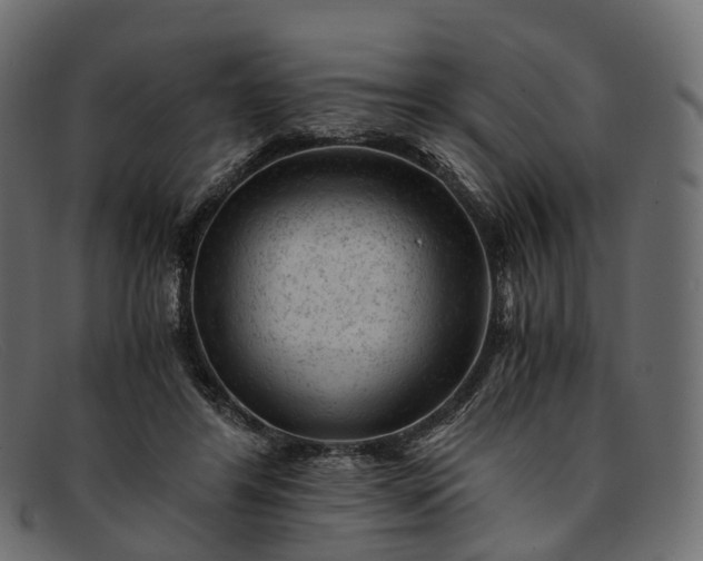 X0000091900404200709191241