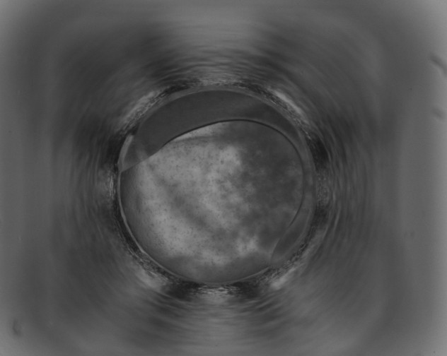 X0000091900405200709191241