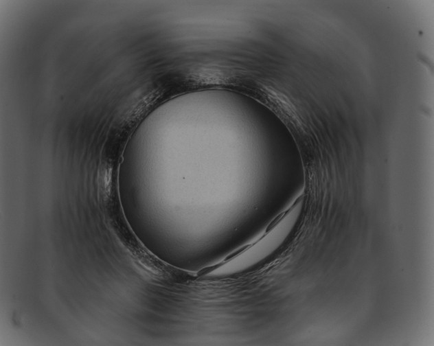 X0000091900406200709191241