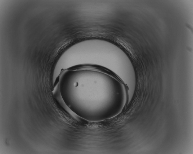 X0000091900407200709191241