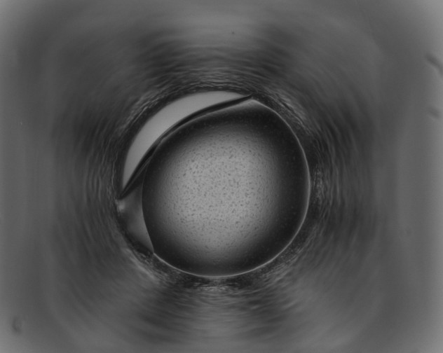 X0000091900408200709191241