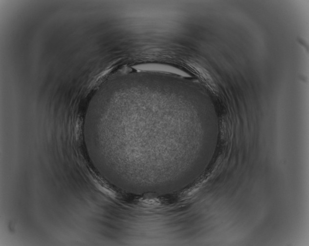 X0000091900409200709191241