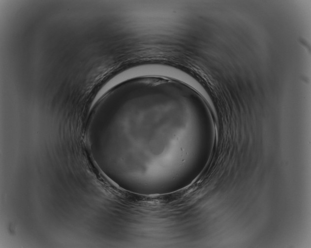 X0000091900411200709191241