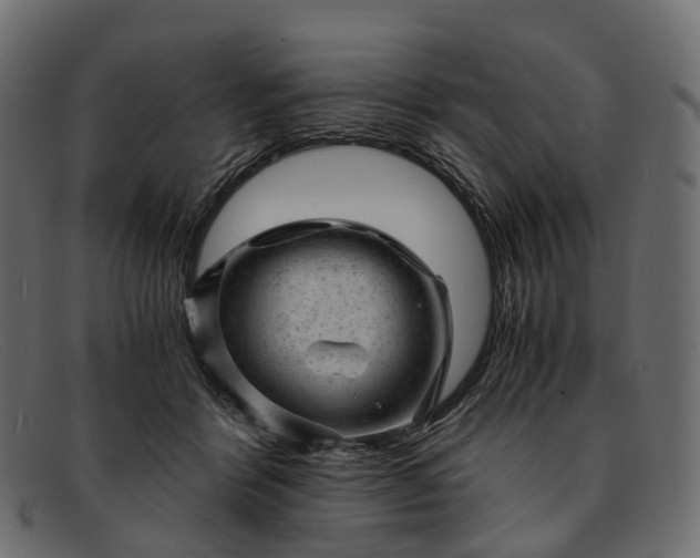 X0000091900412200709191241