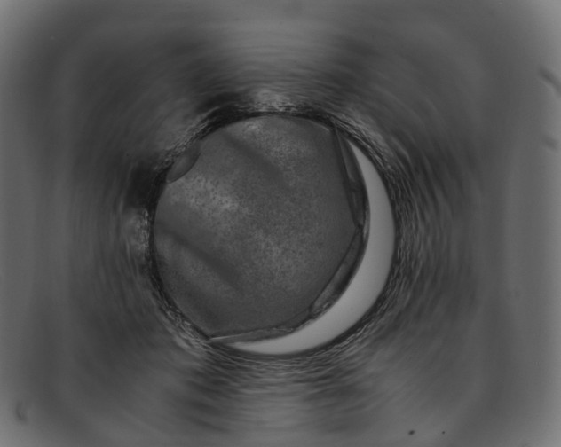 X0000091900413200709191241