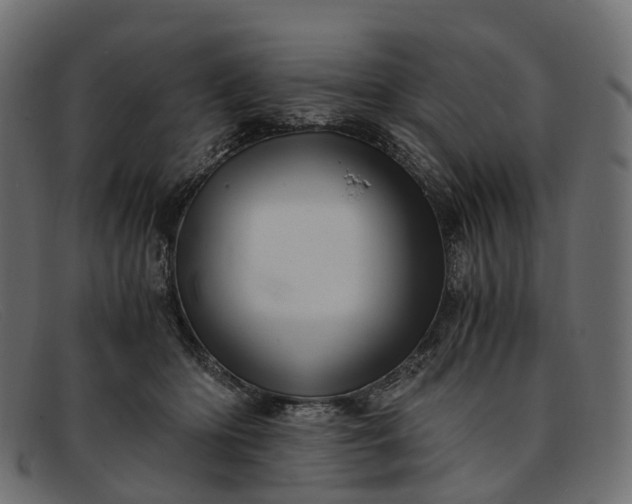 X0000091900414200709191241