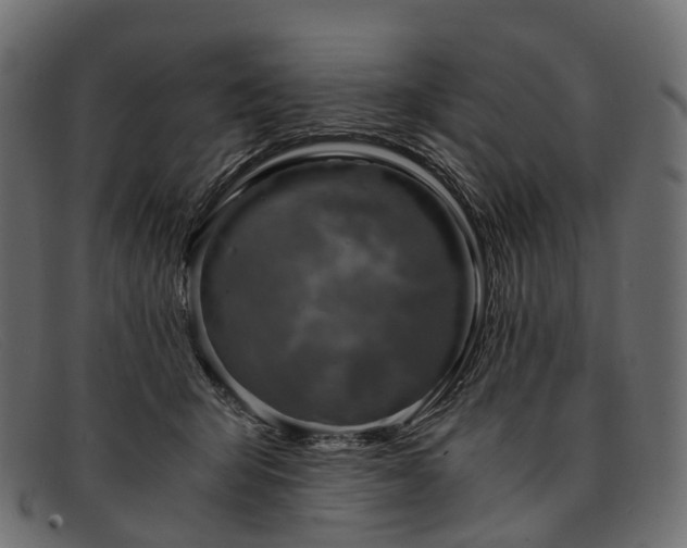 X0000091900415200709191241