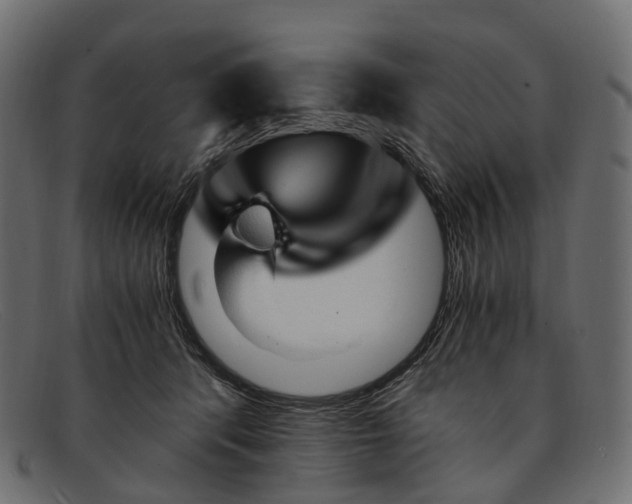 X0000091900416200709191241