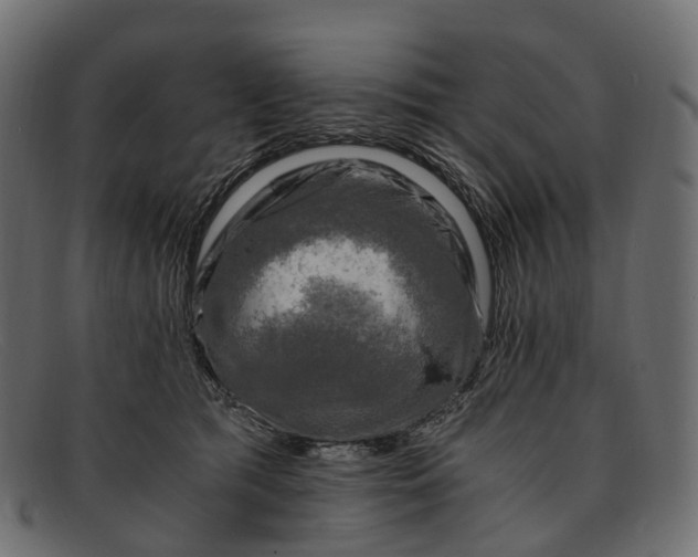 X0000091900417200709191241