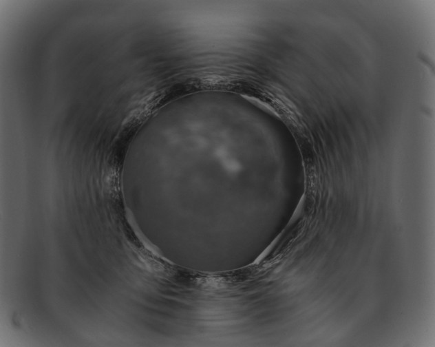 X0000091900419200709191241