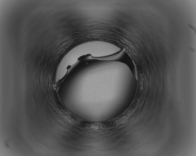 X0000091900420200709191241